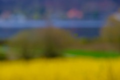 2021-04-03_Baldeneysee-7