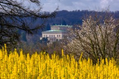 2021-04-03_Baldeneysee-2