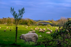 Brueckenlandschaft-Duisburg-07