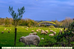duisburger-bruecken_page-0007