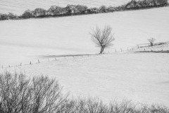 2021-02-13_felderbach-1-von-10