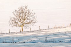 2021-02-13_felderbach-2-von-10