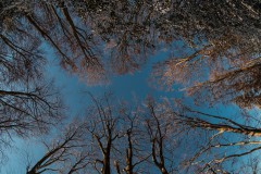 2021-02-13_felderbach-4-von-10