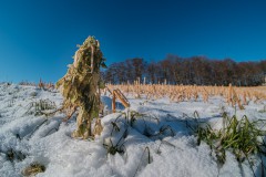 2021-02-13_felderbach-8-von-10