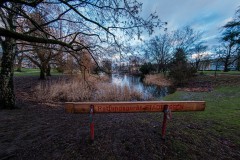 2021-01-29_fisheye-essen2