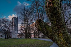 2021-01-29_fisheye-essen4