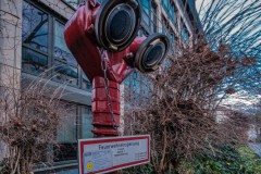 2021-01-29_fisheye-essen3
