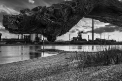 2021-04-09_friemersheim-11