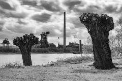 2021-04-09_friemersheim-7