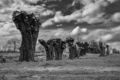 2021-04-09_friemersheim-12