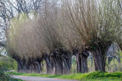 2021-04-09_friemersheim-19