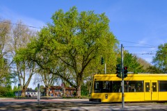 Paar03-2