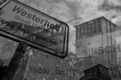 herten-5