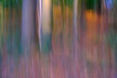 ICM-Ausstellung_Oktober21_1