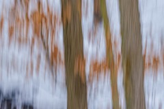 2021-02-07_luehrmannswald-1