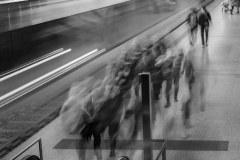 IMG_20191128_074624_497