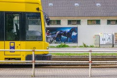 Paar01-1
